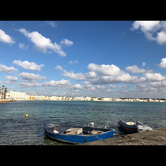 Meet your Posher, Mau - Picture 3 of 4